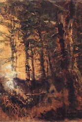 Blick auf den Wald